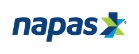 Logo NAPAS chụp trực tiếp từ trang